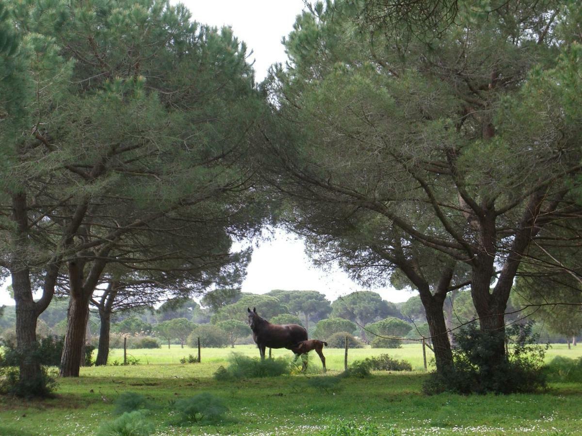 Hôtel Tenuta San Carlo à Marina Di Grosseto Extérieur photo