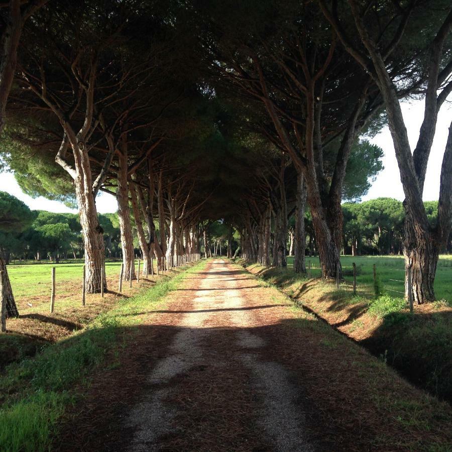 Hôtel Tenuta San Carlo à Marina Di Grosseto Extérieur photo